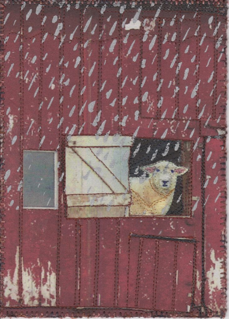Habitat, Sheep in the Rain
